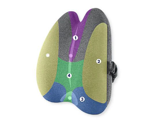 ORTHOSEAT Orthopedic Comfort Set: Seat & Back Cushion
